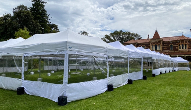 Marquee and Umbrella Setup