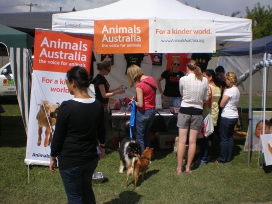 Frankston Pets Day Out 2013